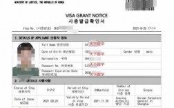 diy韩国留学签证多少钱（韩国留学签证所需材料）