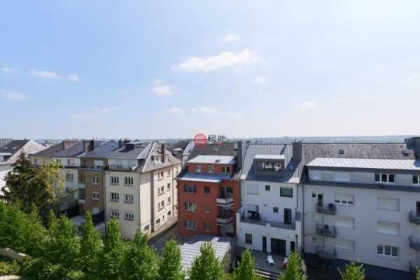 卢森堡公寓多少钱一个月（58岁卢森堡）-图2