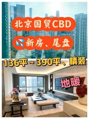 北京国贸cbd公寓多少钱（北京国贸cbd公寓多少钱一平）-图2