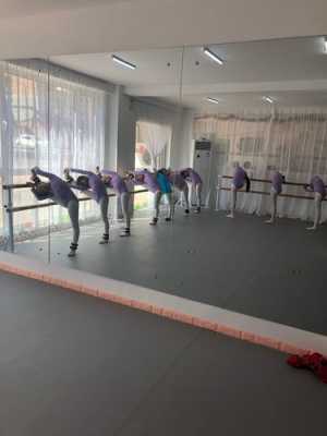 紫舞公园有多少面积（紫舞蝶国际舞蹈学校）-图2