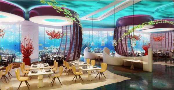 海洋科学酒店有多少间客房（海洋科学酒店无边际泳池餐厅）-图1